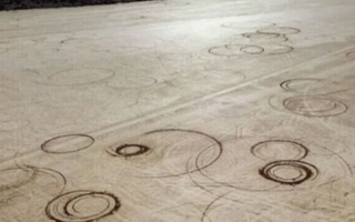 Con vehículos todo terreno: se registraron importantes daños en la Pampa del Leoncito