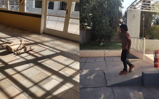 Quiso robar un matafuegos de un camping y terminó detenido