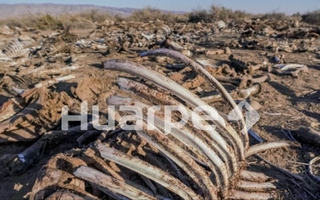 La investigación que llevó a DIARIO HUARPE a los Premios ADEPA