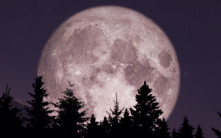 Superluna de noviembre 2025: la más brillante y cercana