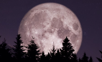 Superluna de noviembre 2025: la más brillante y cercana