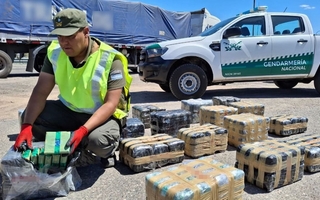 Interceptaron en San Juan un camión con más de 300 kilos de hojas de coca