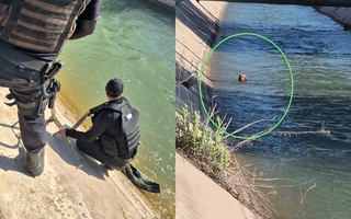 Rescataron a un perro que estaba atado dentro de un canal 