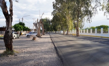 Rawson cada vez más cerca de habilitar su primer polo de comida callejera