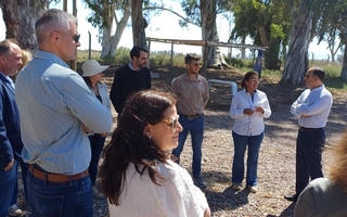 El Consejo Oleícola Internacional destacó el desarrollo del olivo en San Juan