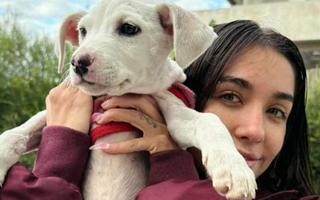 María Becerra y los cuidados "cinco estrellas" para sus perros