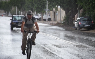 Una fracturada en la calle y caída de ramas: el saldo de las lluvias en San Juan