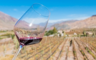 Nación desreguló la industria del vino al eliminar 973 normas