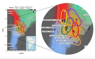 Científicos hallan un componente genético autóctono de Argentina