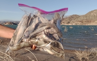  La Iglesia y la comunidad de Jáchal exigen al intendente análisis urgentes del agua