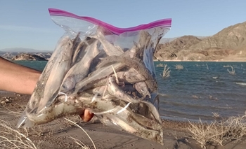  La Iglesia y la comunidad de Jáchal exigen al intendente análisis urgentes del agua