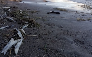 Ambiente desmiente un falso comunicado sobre el Dique Cuesta del Viento