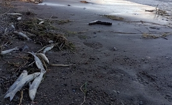 Ambiente desmiente un falso comunicado sobre el Dique Cuesta del Viento