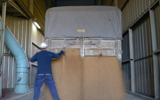 Récord en exportaciones agroindustriales en septiembre