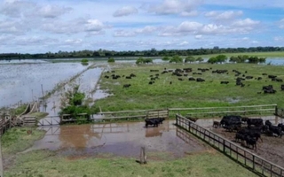 Intendentes bonaerenses reclaman ayuda por las inundaciones en el campo