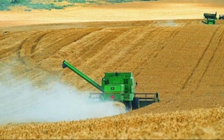 Septiembre dejó el mejor desempeño exportador para el agro en cuatro años