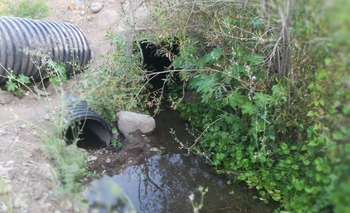 Denuncian tomas de agua y bloqueos ilegales en el cauce del río Las Tumanas