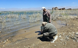 Fiscalía investiga de oficio la muerte de peces en Cuesta del Viento