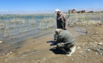 Fiscalía investiga de oficio la muerte de peces en Cuesta del Viento