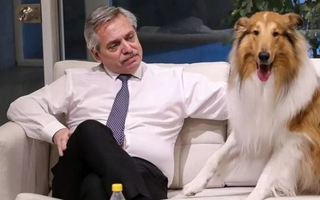 Murió Dylan, el perro del expresidente Alberto Fernández
