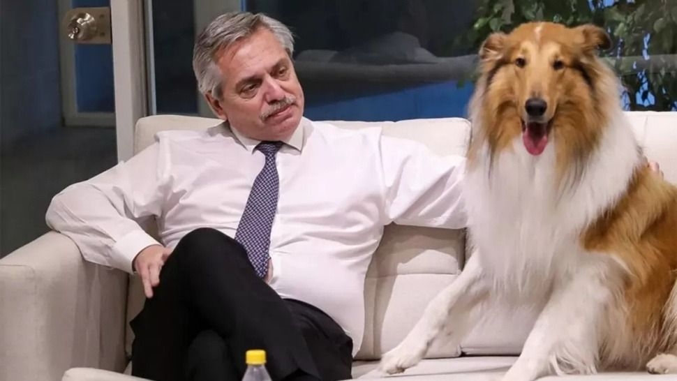 Murió Dylan, el perro del expresidente Alberto Fernández