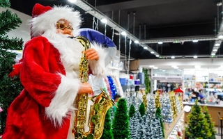 Arbolitos de Navidad en San Juan: precios, tamaños y tendencias 2025