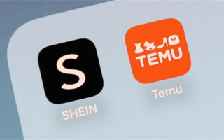 Pichetto propone arancel para Shein y Temu