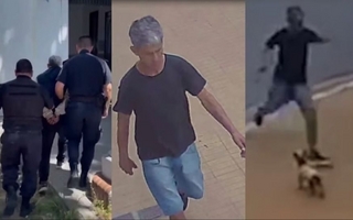 Detuvieron a un hombre por patear brutalmente a un perrito