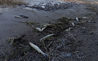 Productores y vecinos convocan a una marcha para exigir análisis del agua