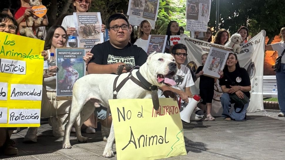Marcha en contra del maltrato animal: reclaman leyes y endurecer las penas