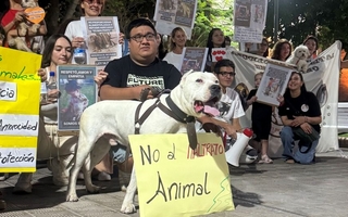 Sanjuaninos marcharon para exigir penas más duras contra el maltrato animal