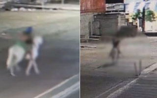 Un hombre asesinó a una mujer y la llevó a caballo hasta un descampado