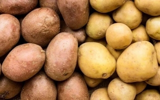 Papas: energía natural y aliadas contra la presión alta
