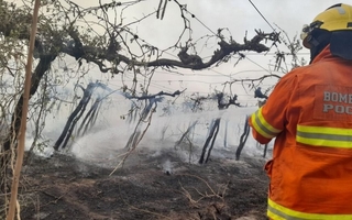 Un incendio puso en riesgo una vivienda frente al Estadio del Bicentenario