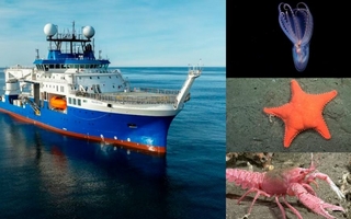 Una nueva misión científica explorará lugares desconocidos del Mar Argentino