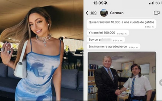  El error más tierno: quiso donar $10.000 a un refugio de gatos y transfirió $100.000