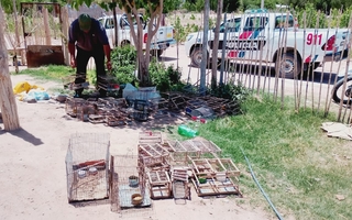 Cayeron por vender aves autóctonas en forma ilegal en Sarmiento