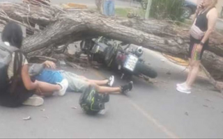 Viento Zonda: más de 280 incidentes, heridos y graves daños