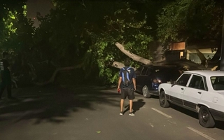 Cuál fue el saldo de daños en la provincia provocado por el fuerte viento Sur