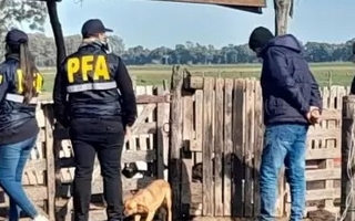 Golpearon a un hombre y le robaron $150.000, buscan a una banda que actuó con camperas de la PFA