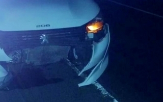 Un auto quedó destrpzado tras embestir a un carpincho en plena ruta