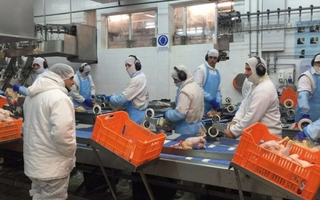 Más de 80 despidos y atraso con liquidaciones, el ajuste que atraviesa Granja Tres Arroyos