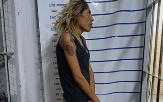 Detuvieron a una mujer por el robo de dos ventanas en Chimbas