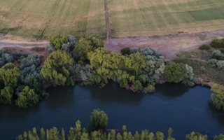 Buscan desesperadamente a un padre y sus dos hijos tras arrojarse al río