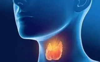 Hipotiroidismo en adultos: claves para un diagnóstico y tratamiento efectivo