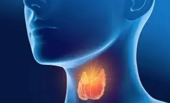 Hipotiroidismo en adultos: claves para un diagnóstico y tratamiento efectivo