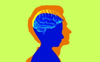 Un estudio revela a que edad finaliza la adolescencia cerebral