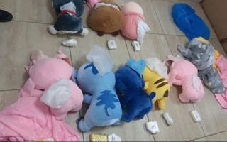 Detuvieron un cargamento con drogas en Tucumán: iba a pasar por San Juan