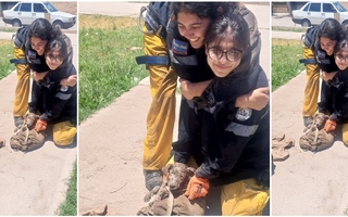 Operativo heroico: así sacaron a un perro de una perforación peligrosa