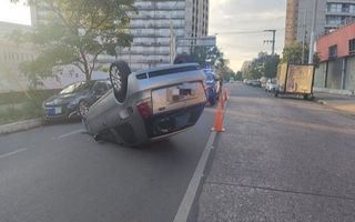 Quiso espantar una avispa mientras conducía, chocó y volcó